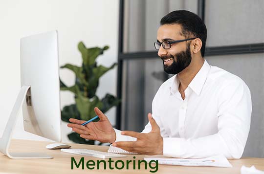 Mentoring v2
